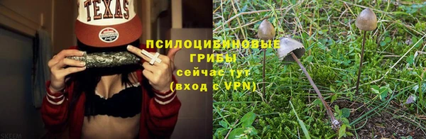 spice Абаза