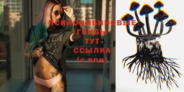 spice Абинск