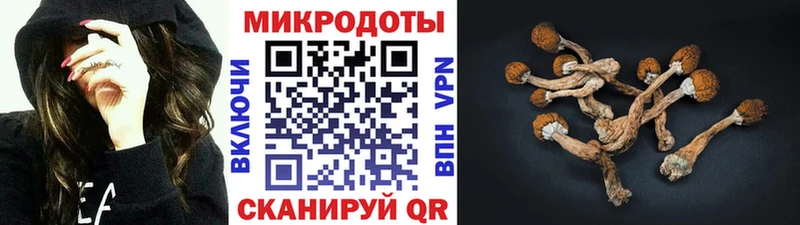 MEGA ССЫЛКА  Суоярви  Галлюциногенные грибы GOLDEN TEACHER 